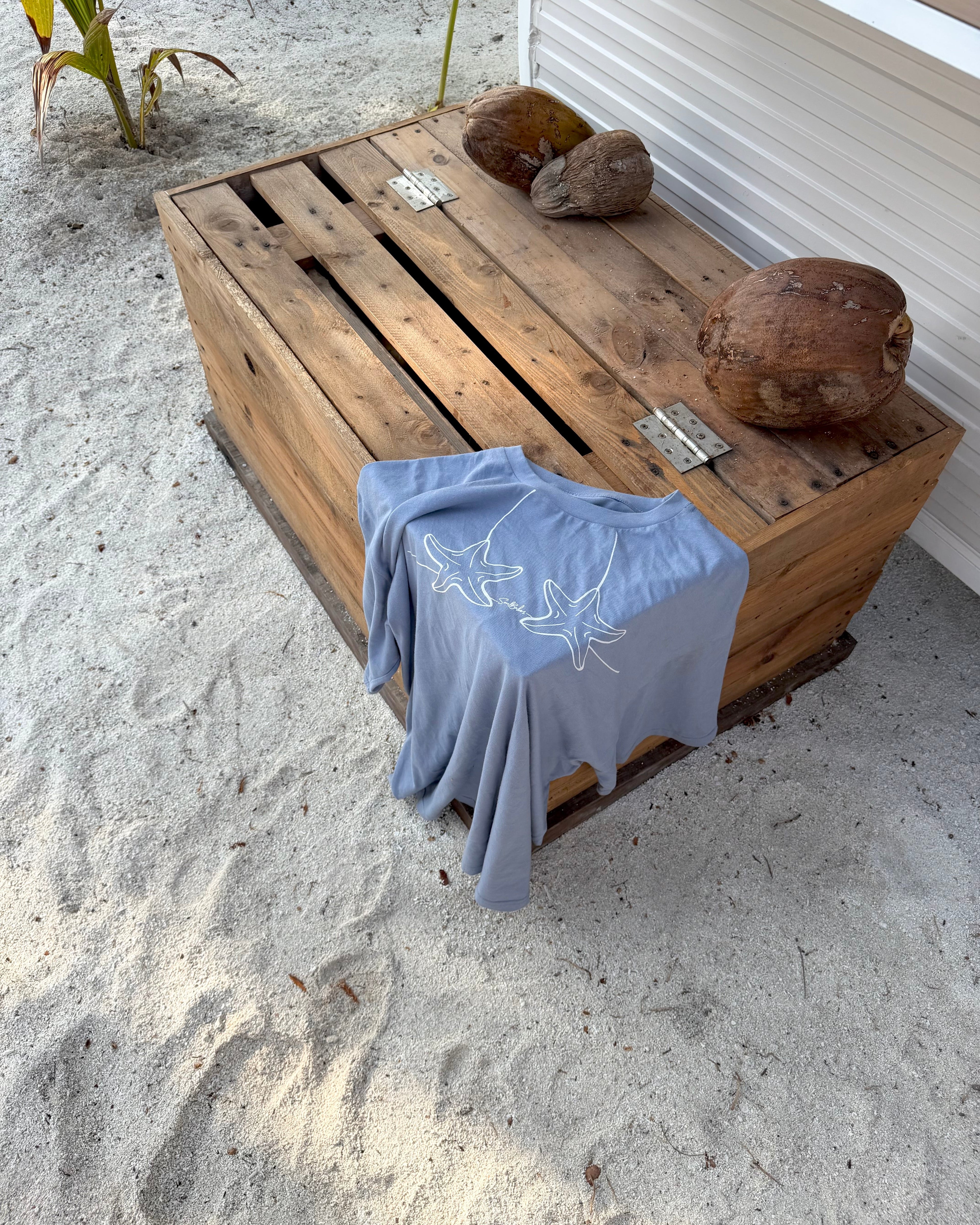 Bikini Babes tee🐚🥥💭